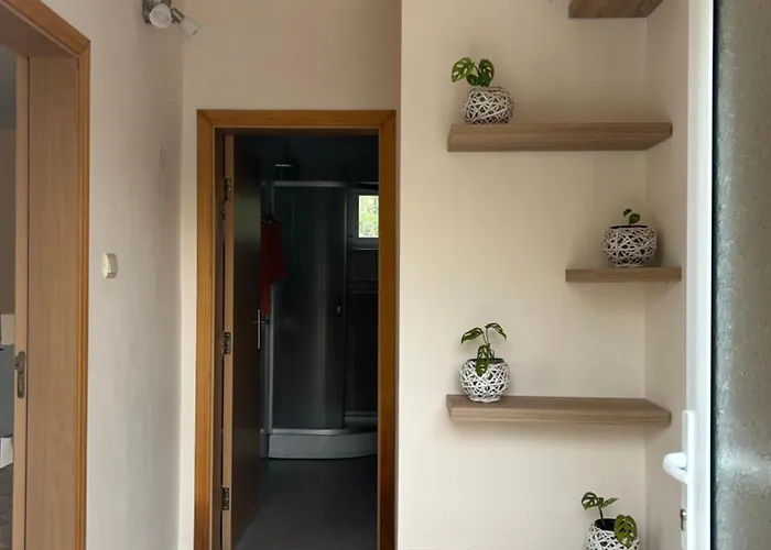 Bellevue Case de vacanță *